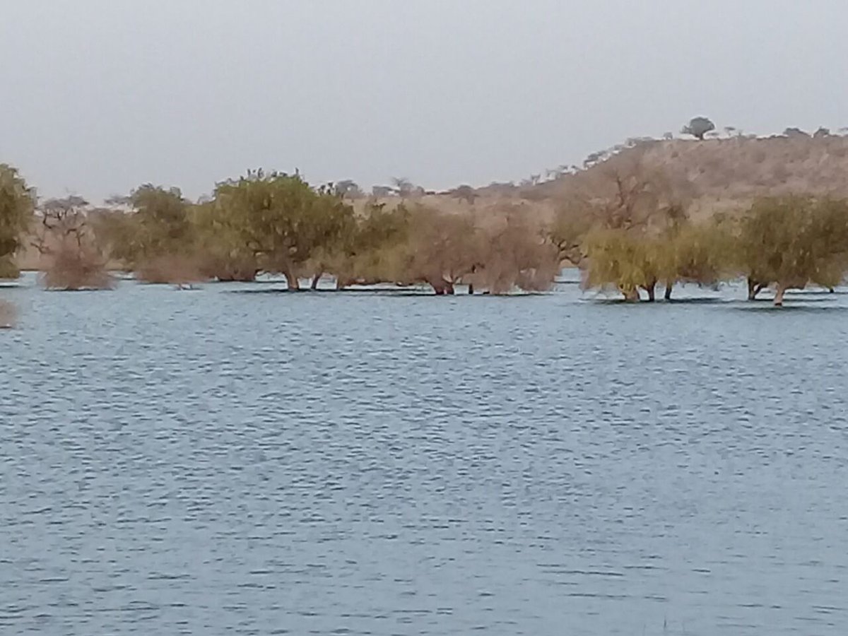 Bheemra77914734's tweet photo. #Drama/ Fraud with #Tharies
#Fishing in coal mine poisonous water.
@BBhuttoZardari @HamidMirPAK https://t.co/B6xFsH2WOu