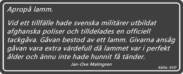 Mike_Von_R's tweet image. #IslamLogic #migpol #aftonbladet #expressen #Landetsjunker