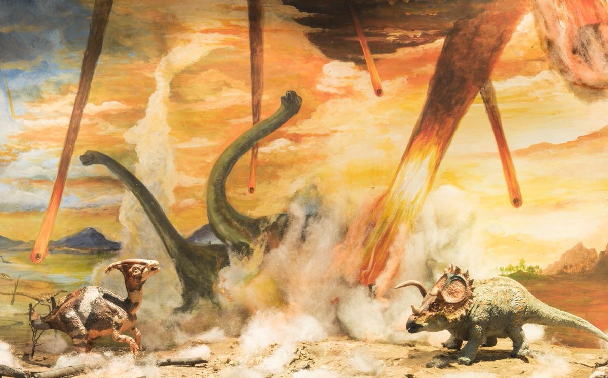 Meanwhile in Hamburg.. 

<a href="/HSV/">Hamburger SV</a> #HSV #HSVBMG