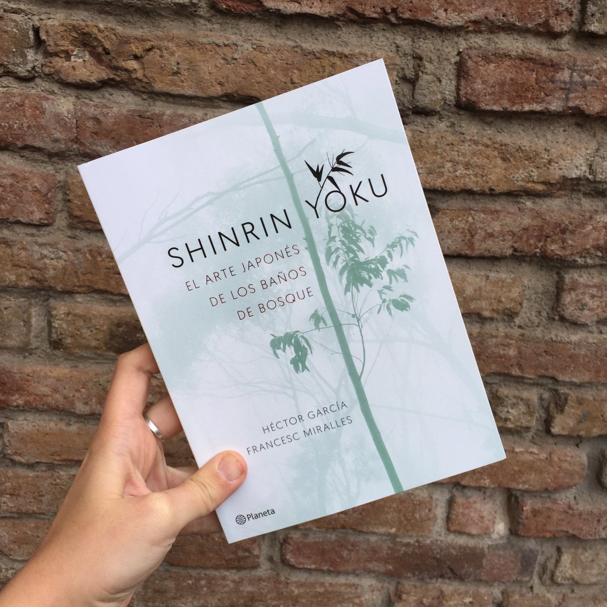 En el futuro ¿viviremos en rascacielos o en casitas que rodean la ciudad? La respuesta la tienen Francesc Miralles y Héctor García en su nuevo libro «Shinrin-yoku. El arte japonés de los baños de bosque». Ya en librerías. <a href="/kirai/">Héctor García</a> <a href="/frmiralles/">Francesc Miralles</a> #shinrinyoku 🔖 goo.gl/mXTex8