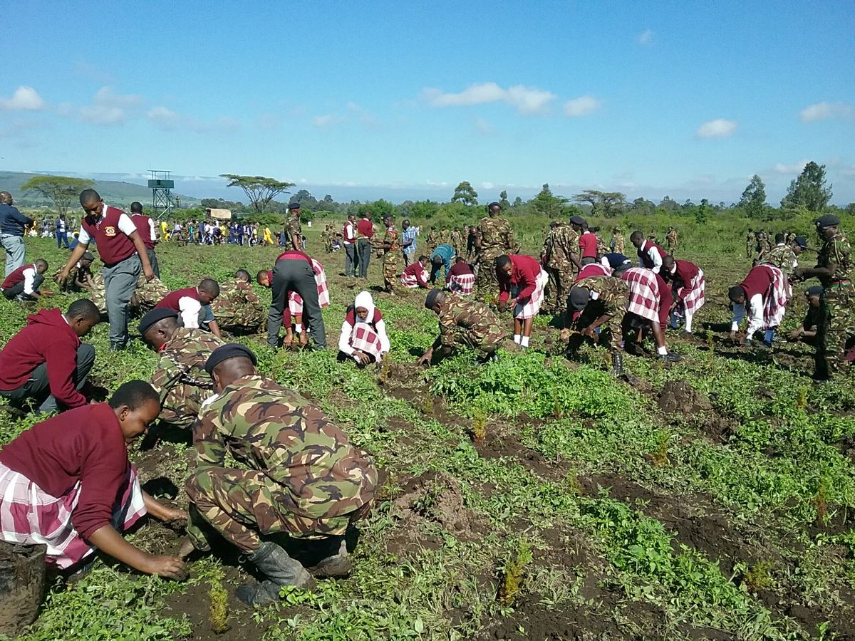 GreenBeltMovmnt's tweet photo. As @PresidentKE launches the #NationalTreePlantingDay in Nrb alongside a team from our Board, another team of @GreenBeltMovmnt staff is concurrently leading a tree planting session at the Kenya Military Academy where 20k trees have been planted today #PandaMitiPendaKenya https://t.co/kBP31jH1nz
