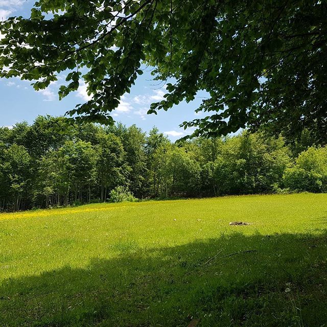 VisitTetova's tweet photo. #tetovo #tetova #nature #macedonia #sharrmountains #photography #kodraediellit #sunday #sundayfunday #landscape #kalkandelen #hiking #travel #tourist #balkans #balkan #mountains #happiness #spring #springtime #green #may #naturephotography #nature #natur… https://t.co/agy1jU7JRQ https://t.co/zXMR8lHNbS