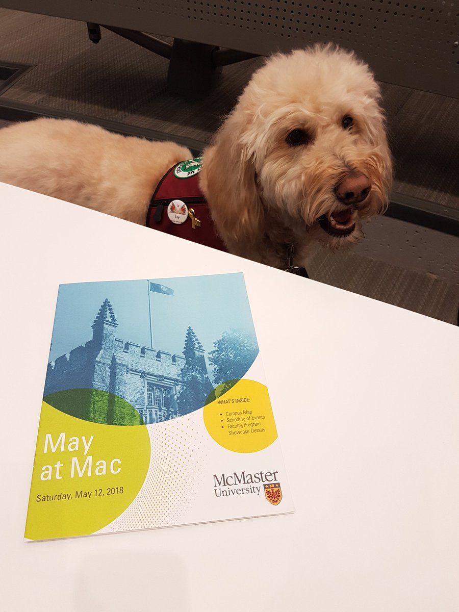 McMasterEE's tweet photo. Did you know? @McMasterSocSci has an academic advising dog, Lily! Come visit her and learn about your future in Social Sciences! She's in L.R. Wilson Hall first floor until 2pm 🐶 #MayAtMac #McMaster2022 https://t.co/RPRnGBlI6j