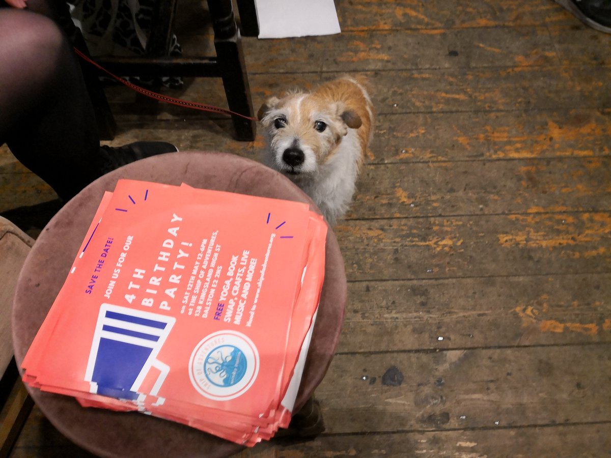 Friends of all shapes and sizes at the party today! 🐕 #sodogfriendly