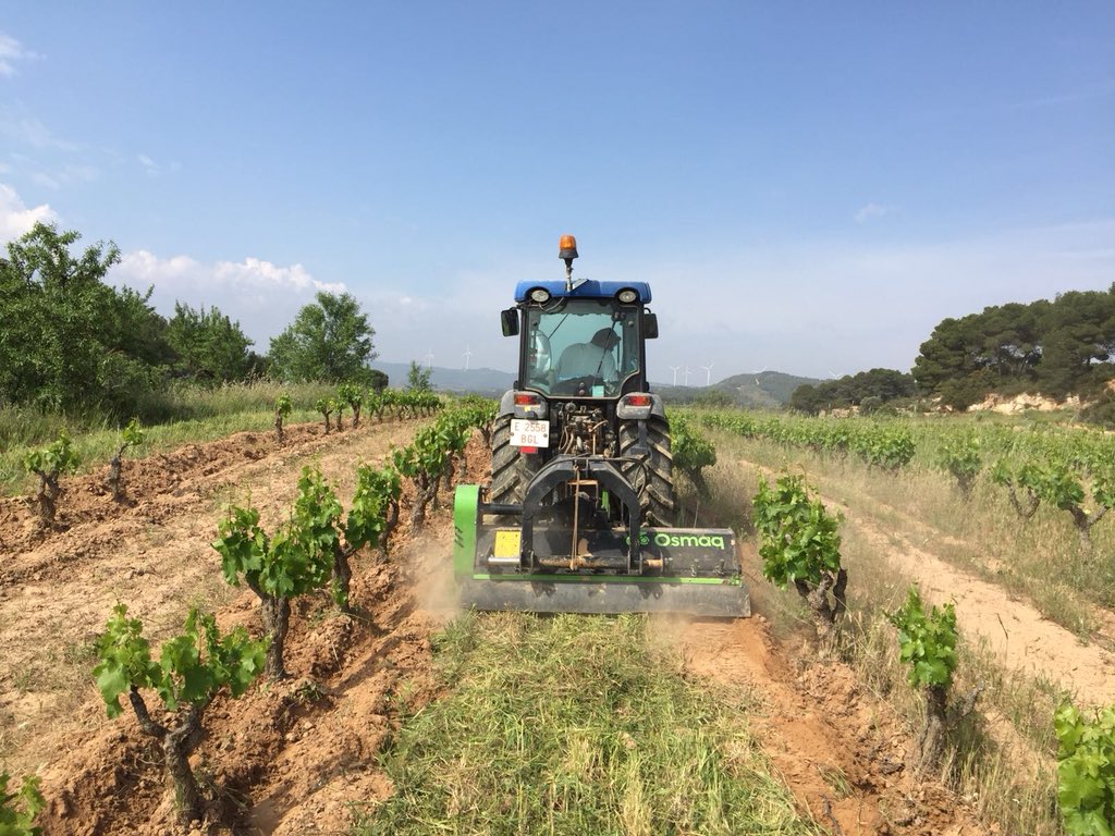 CBarbaraFores's tweet photo. Avui hem picat #adobenverd q vam sembrar a #laSendroseta per tal d poder realitzar un treball més profund a nivell de sòl: descompactar, fixar nitrògen, aportar matèria orgànica,aconseguir tenir el sòl cobert el màxim temps possible per evitar erosions @doterraalta #agroecologia https://t.co/O9SWN7fRt2