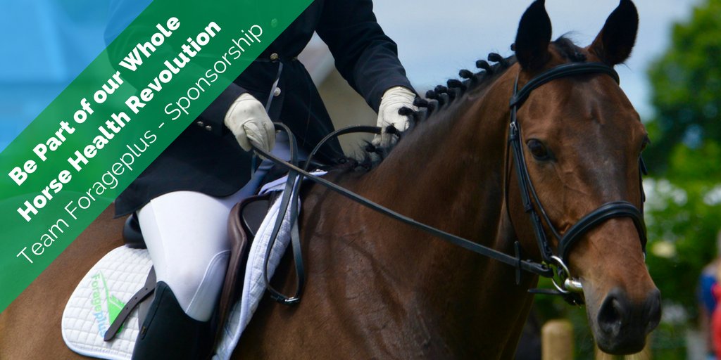 forageplus's tweet photo. #Forageplus looking 4 #horse owners and riders to win sponsorship. Check out our levels & expectations here: https://t.co/awpjO8KMnj https://t.co/a80XyQSGts