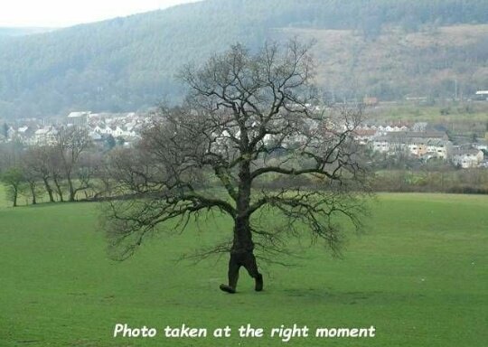 #ماهي_رسالتك_للمشاهير_قبل_رمضان
صوره تم إلتقاطها في اللحظه المناسبه ❤.