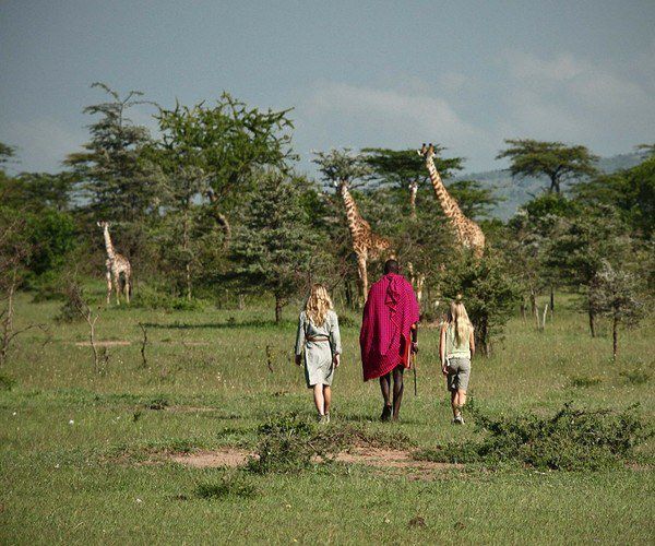 luxurytravel's tweet photo. On #safari in 9 private houses: the perfect family trip - A Luxury Travel Blog https://t.co/xxRQ6rfUqU #luxurytravel #kenya #southafrica #tanzania #zambia #africa #travel #familytravel https://t.co/PkpZtWjFzf