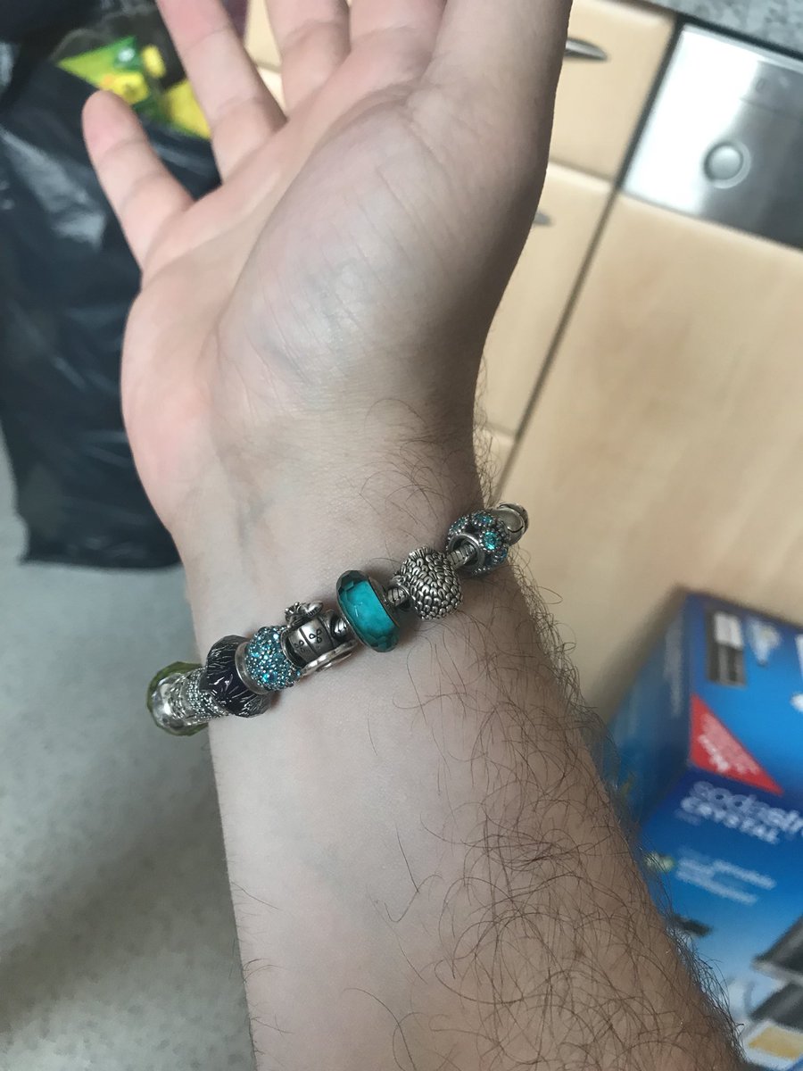 GrimOgreLabs's tweet photo. got three new charms and redesigned the color palette of my @PANDORA_UK #pandora bracelet. #jewelry #gemby #enby #AMABgems https://t.co/slM0KBywqv