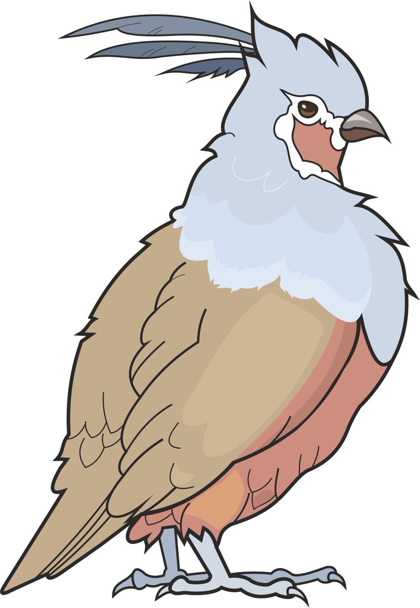 R (@ramz107) on Twitter photo 