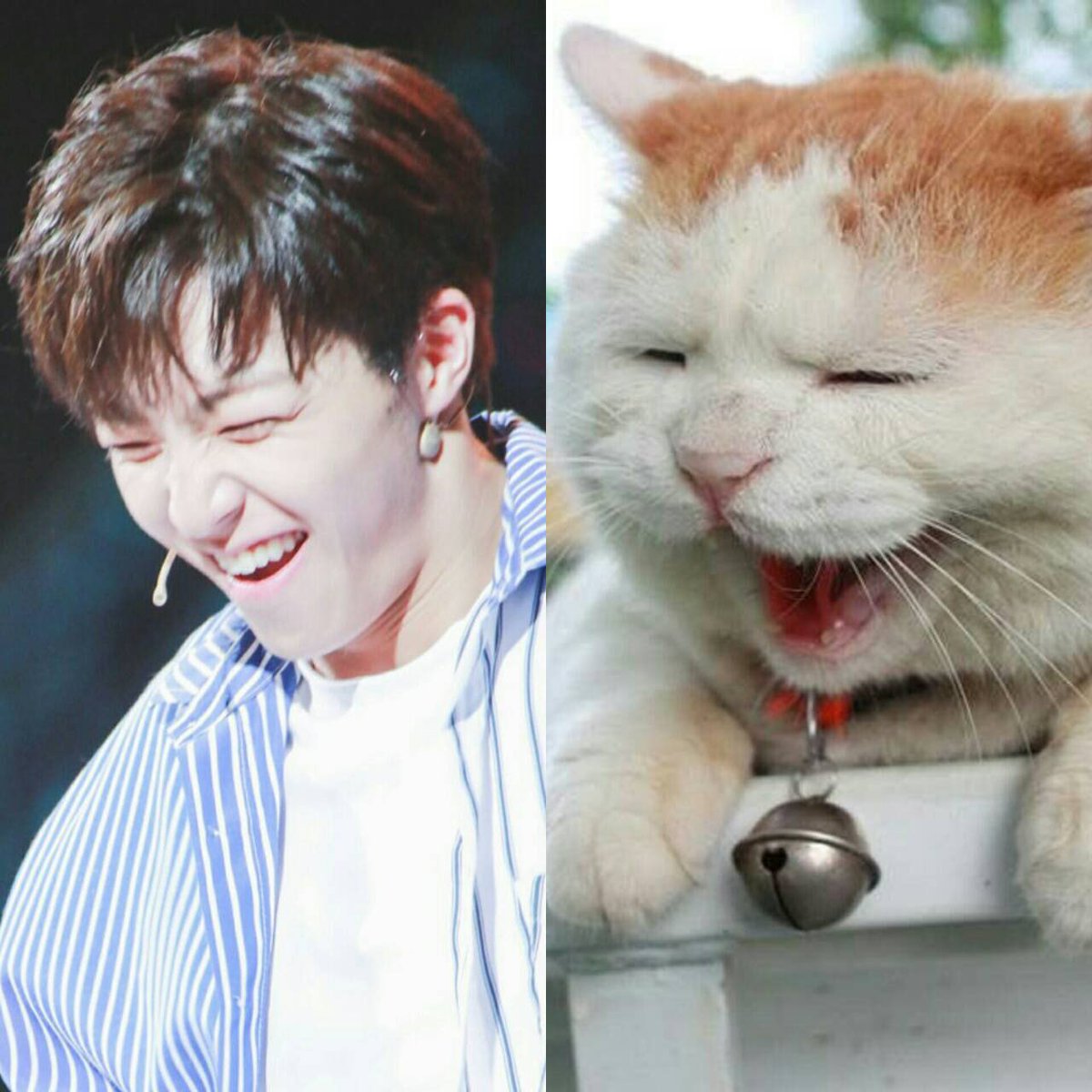 sshyshhy's tweet photo. คือเป็นทุกอย่างยกเว้นคน?
#NINEPERCENT #ChenLinong https://t.co/K2MXcJF2Pt