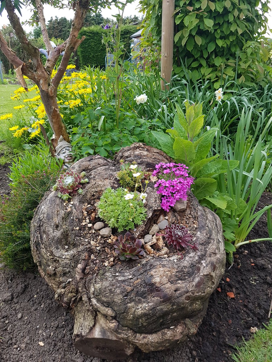 MeAndMyLottie's tweet photo. My dad's garden 😍 https://t.co/9g62fpHeNc