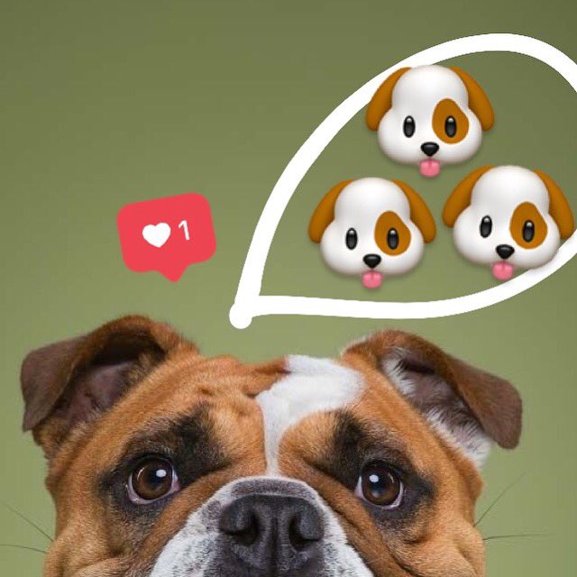 CatcanCol's tweet photo. #mom ❤️❣️ https://t.co/N8PwurAos5