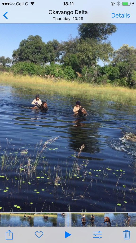 mknottenbelt's tweet photo. Swimming with my horse @macatoo Botswana #AfricanSafari https://t.co/davMdDeAp7
