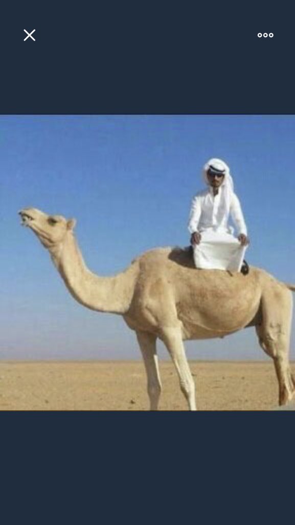 heboooe's tweet photo. عزوز يتحرى هلال رمضان😂😂😂😂💔🏻‍🏃
#قروب_مغرد_للدعم
@2hzaz https://t.co/ROLgfTt0Sr