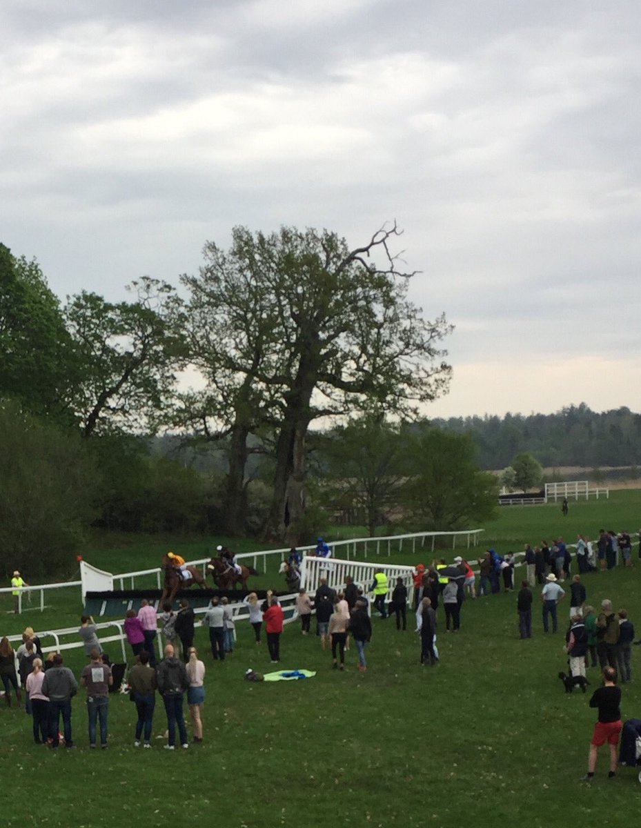 TheGusse's tweet photo. Next #race june 16 @SwedishGN See U @RS_Stromsholm bets by @ABtravochgalopp #racinglover https://t.co/wIs85dhuJC