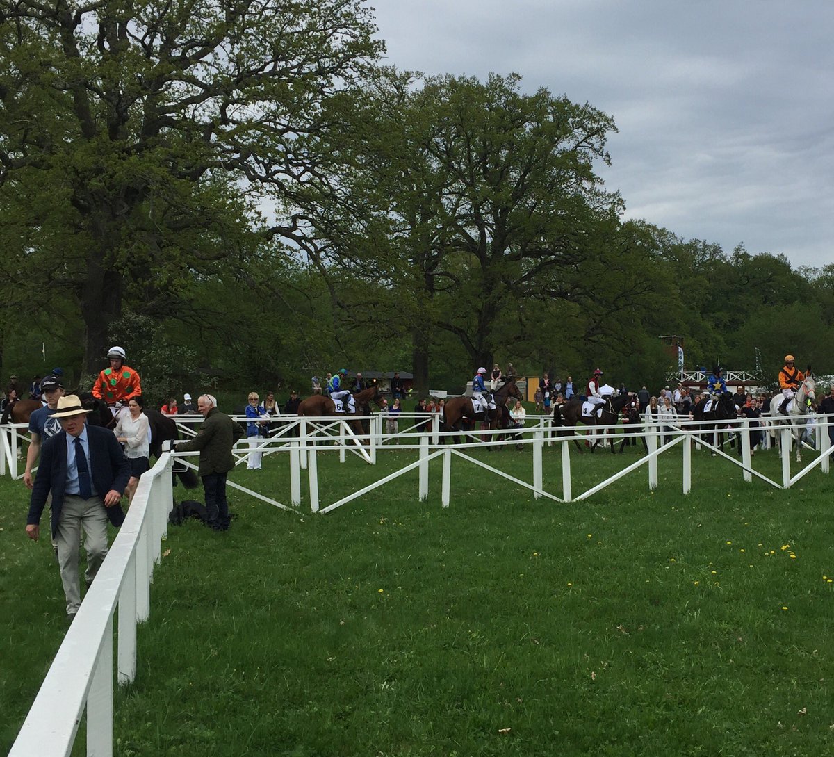 TheGusse's tweet photo. Next #race june 16 @SwedishGN See U @RS_Stromsholm bets by @ABtravochgalopp #racinglover https://t.co/wIs85dhuJC