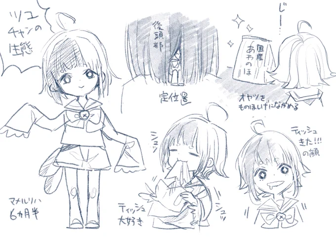 お迎えから2週間ほど経ちました 