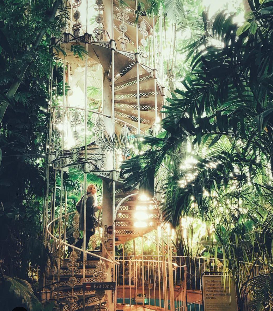 november_ra1n_'s tweet photo. Escape the cold and explore our iconic Palm House. Climb the spiral staircase and take in the view from above the canopy. 🌴 (Kew Gardens) | #photo by jbax_photography | #instagram 📸 |
#KewGardens #London #bothanic #garden https://t.co/FRDFezVrPf