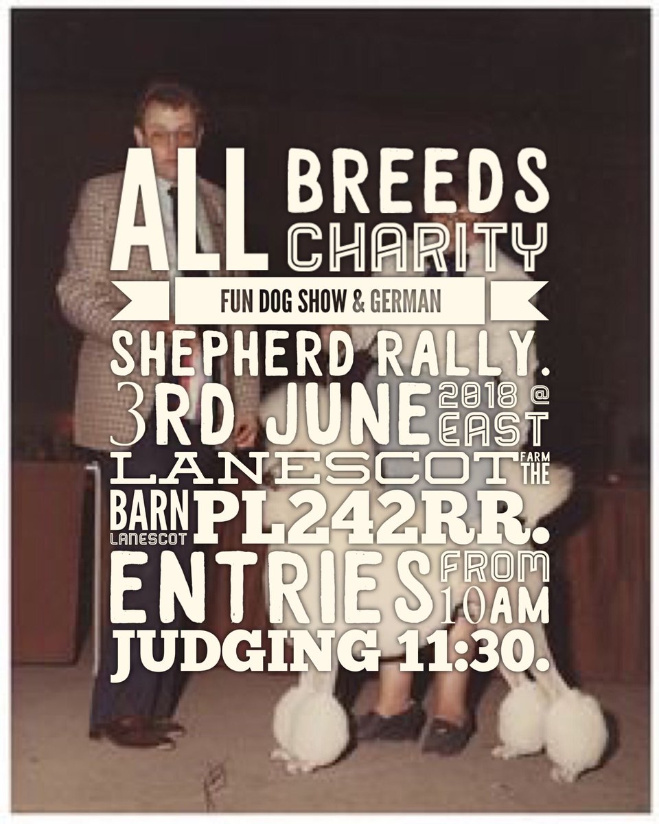 Dogshowkernow's tweet photo. We have over 30 categories in the ring at this years show, check our pinned tweet for full details, please retweet 🐶 https://t.co/M2zA2UFIOi