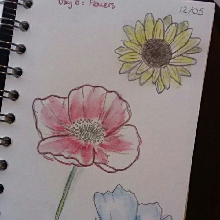 Day 6: flowers