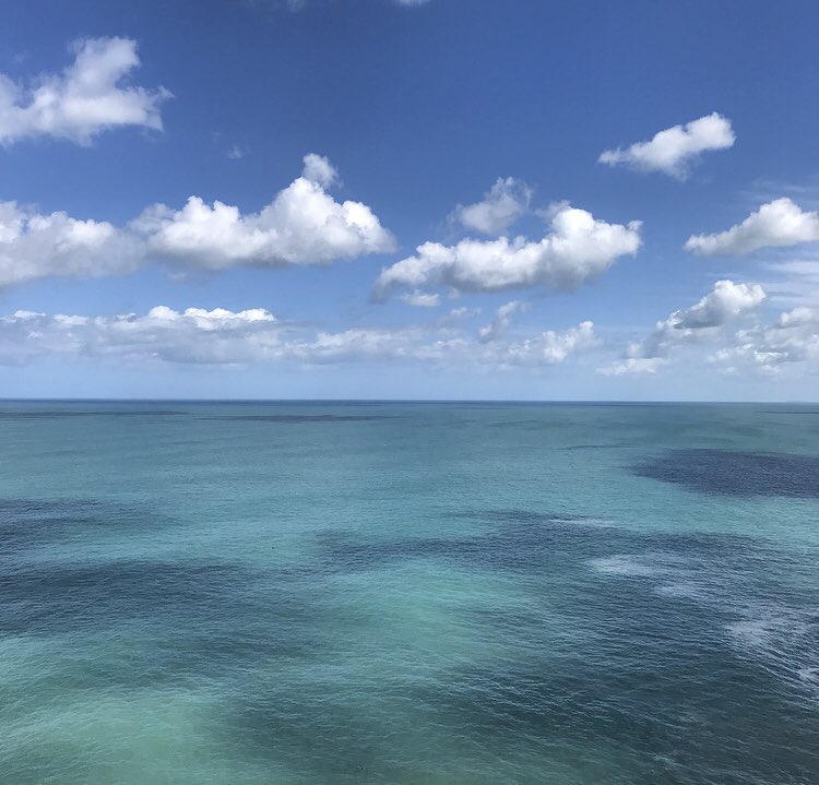 frankie23thomas's tweet photo. Today I took over the Visit Cornwall Instagram (@ILoveCornwallUK). Here are a few πΈ from our adventure on the North Coast today. #Godrevy #Gwithian #NorthCliffs #CornishSpringTime https://t.co/LQhj8xthXF