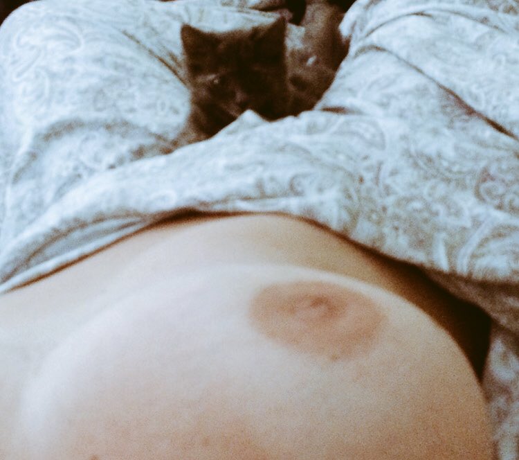 DaniSwitched's tweet photo. Not me - but I love everything about the pics. Kittens, blankets, beds and boobs #caturday https://t.co/H4IfEbAam5