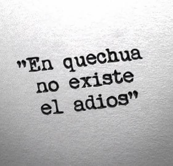 SrtaWine's tweet photo. En quechua no existe el “Adiós“, en lugar de eso existe “tupananchikkama” (hasta que nos volvamos a ver) ❤️ https://t.co/HyAIp7J0Ki