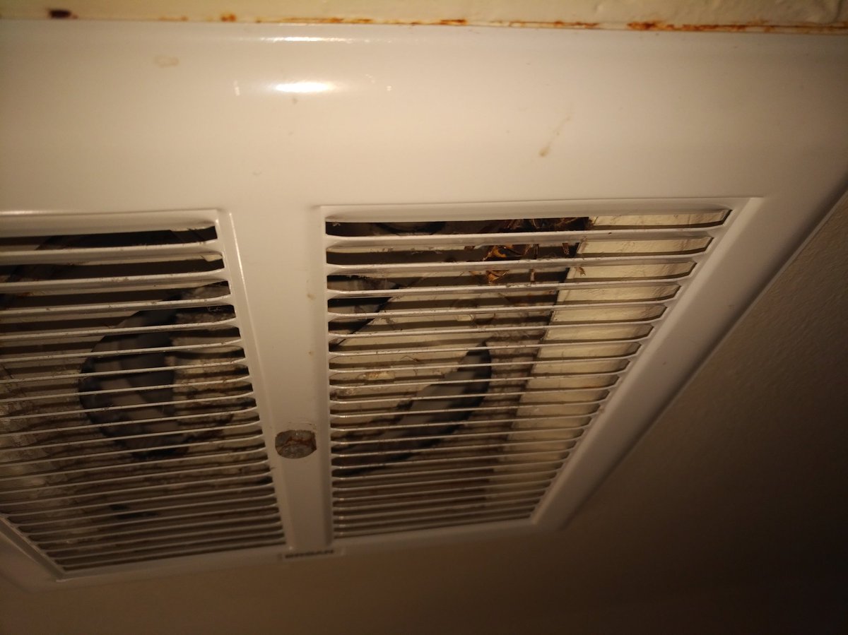 offnod's tweet photo. Yellow jackets coming in through the bathroom vent (third one). Pest control on Tuesday. Thanks for the urgency. #kettler https://t.co/DYOix6WW08