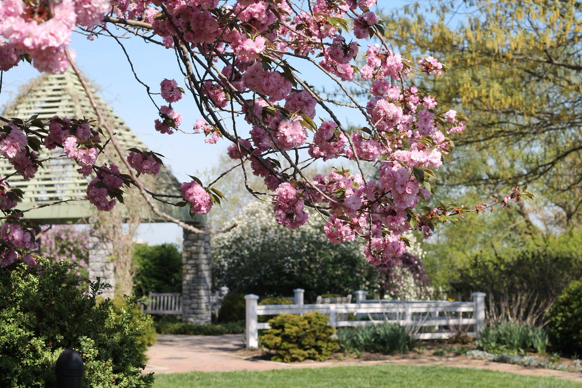 KentuckyTourism's tweet photo. If you love a splash of color, thereโs no better destination than one of Kentuckyโs many arboretums and botanical gardens. ๐ธ ๐ท ๐ฑ Plan to visit them all: https://t.co/JSCoxgx0fc #TravelKY #KYSpring #Gardens https://t.co/TMbjNCQg47