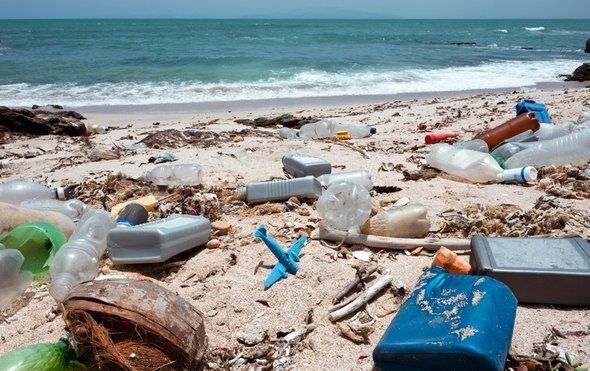 openbiolabs's tweet photo. Looking for easy way to benefit the environment from home? As a citizen scientist, you can track man-made trash floating in the ocean; anyone can help!  https://t.co/gSPxZ9iHvA https://t.co/BoOJ6mAXcI