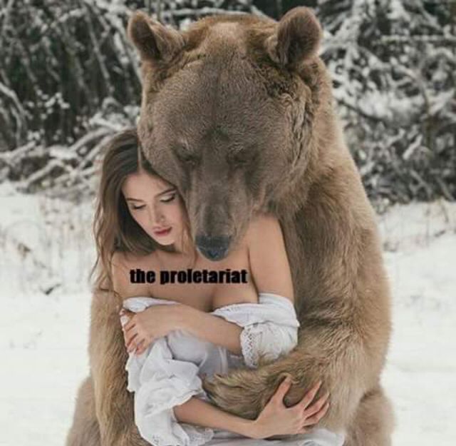 dogtator's tweet photo. Would love to be a bear embracing a diverse group of workers of the proletariat, but until then, this bear 🐻 https://t.co/hBwQr3qhb0