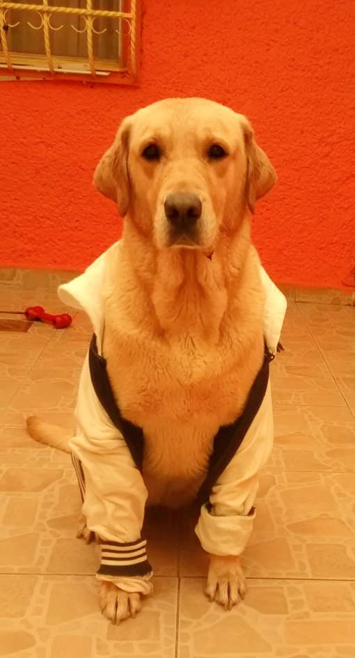SoyRofull's tweet photo. Sábado trucutru 😏 https://t.co/LCDbuwFCLu