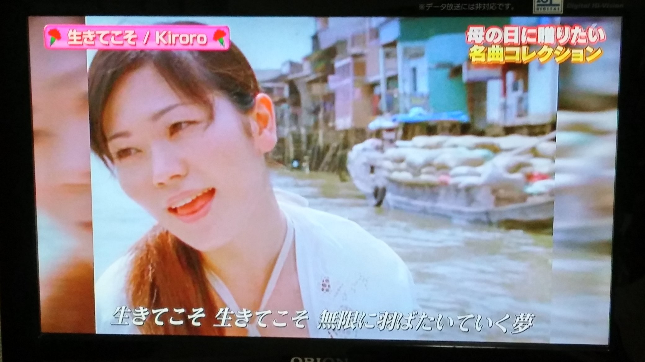 ありきぱいせん Fwf そういえばこれムシキングの主題歌だったなー Kiroro 生きてこそ Cdtv 甲虫王者ムシキング 森の民の伝説 T Co 1kzlzk9pjv Twitter