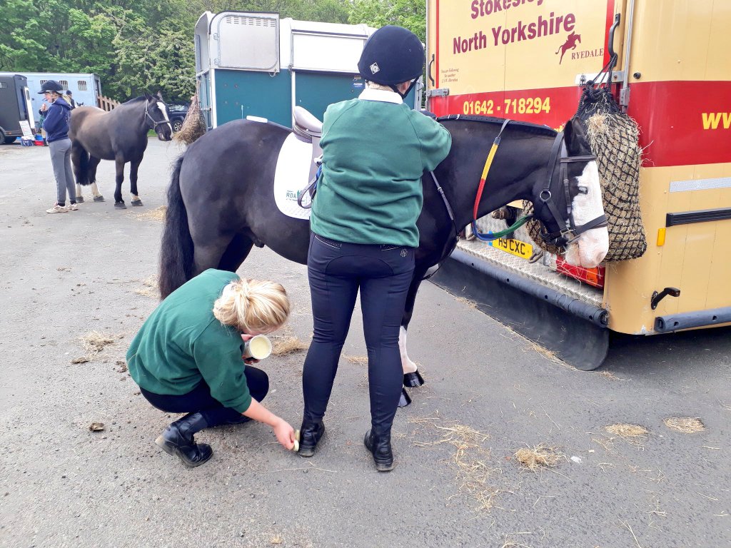 RDAnational's tweet photo. #TeamRDA is busy all over the country organising &amp; competing at this year's regional qualifiers in the run up to   #RDAchamps @HartpuryEquine in July. Some great pics on social media, too many to show in one go. Keep Tweeting, we love to see them all! https://t.co/whSsECqt9Z