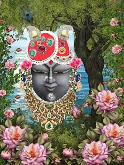 DrDishaJasani's tweet photo. नैन लड़े अरू नैन मिलें
      कब रार करें कब मीत बनायें
प्रीत सुधा बरसाय कभी
      विष बाण बनें हिय में बिध जायें
ढीठ बनें अड़ जावत तो
       भर लाज कभी नयना सकुचांए
बैन बनें हिय की बतियां
       रह मौन सखी सगरी बतलाएं https://t.co/uN6SIWZcOl