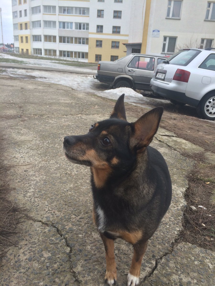 Морда моя добрая, я тебя очень сильно люблю!!!!жизнь не справедлива