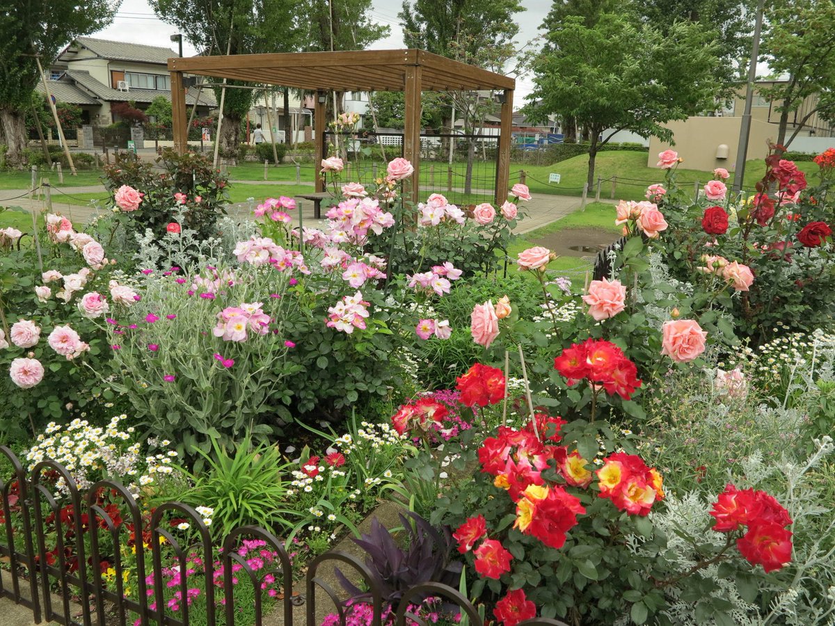 園芸家 Gardenerjunchi Twitter