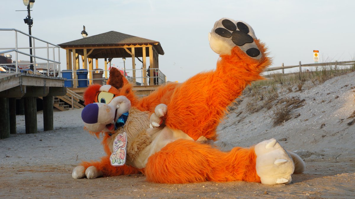DibsDingo's tweet photo. IM LATE Leggies for this #FursuitFriday https://t.co/Yy9Wpuxl98