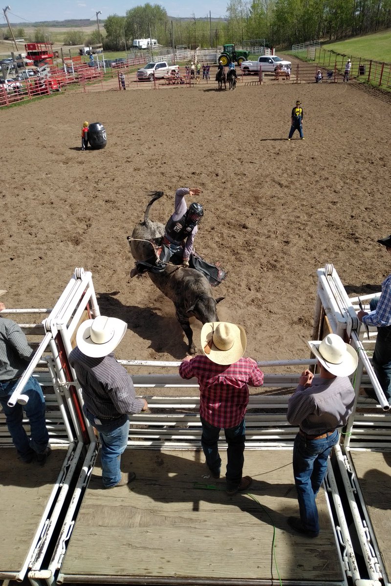 RDBobocel's tweet photo. Had a great time at the Daines Rodeo today! Got to meet some fantastic people and the best #rodeo fans in central Alberta! Everyone's getting excited about #CFR45 in #RedDeer! #RedDeerChamber #WesternerPark https://t.co/da9t1zL2px