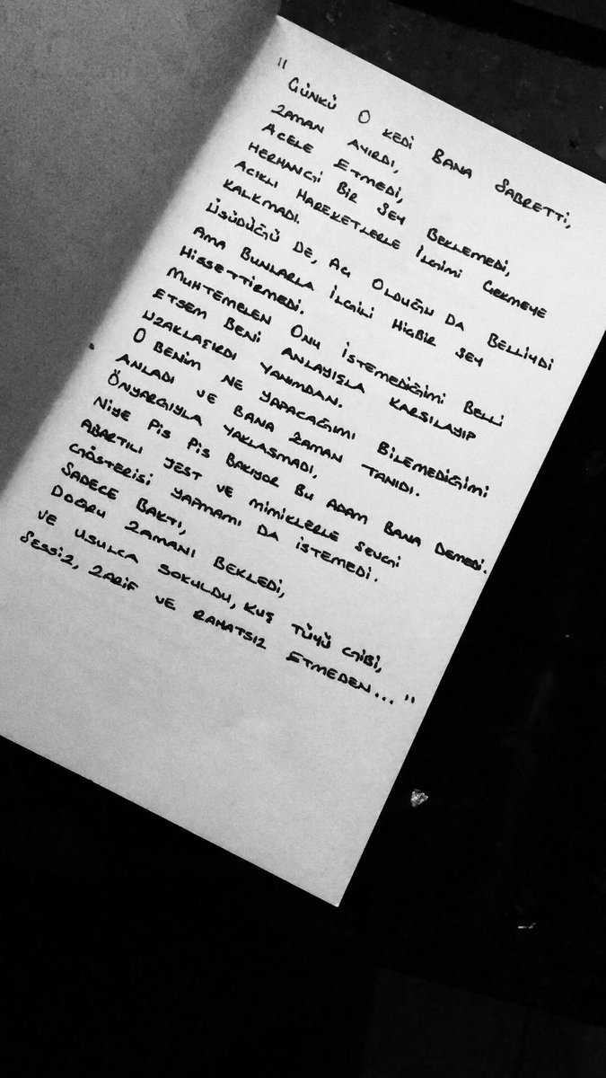 Kimi zaman bir adamın hayatında yalnızca kedi gibi olmalı.
A.L