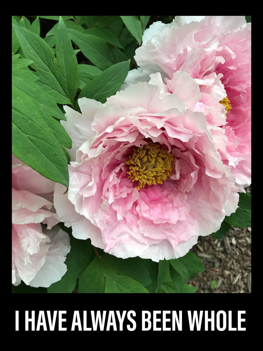 get_asana's tweet photo. #ptsd #healing #mentalhealth #liveauthentically #lettinggo #goodbyeego #helloabundance #yoga #yogateacher #newme #bepresent #getoffyourasana #getoffyourasanabykaygee2 #getoffyourasanabykaygee #imovemountains #satya #yogaismyreligion https://t.co/GG4GRxTjoz