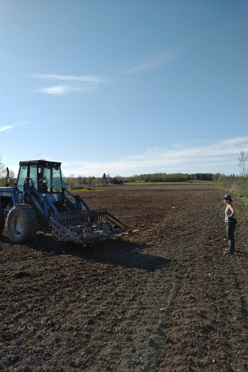 bsward64's tweet photo. When I told Anne that I got her a rock for Mothers Day, she wasn't impressed that she had to pick it and all its friends! #plant18 #stonepicking https://t.co/DvidzIySBb