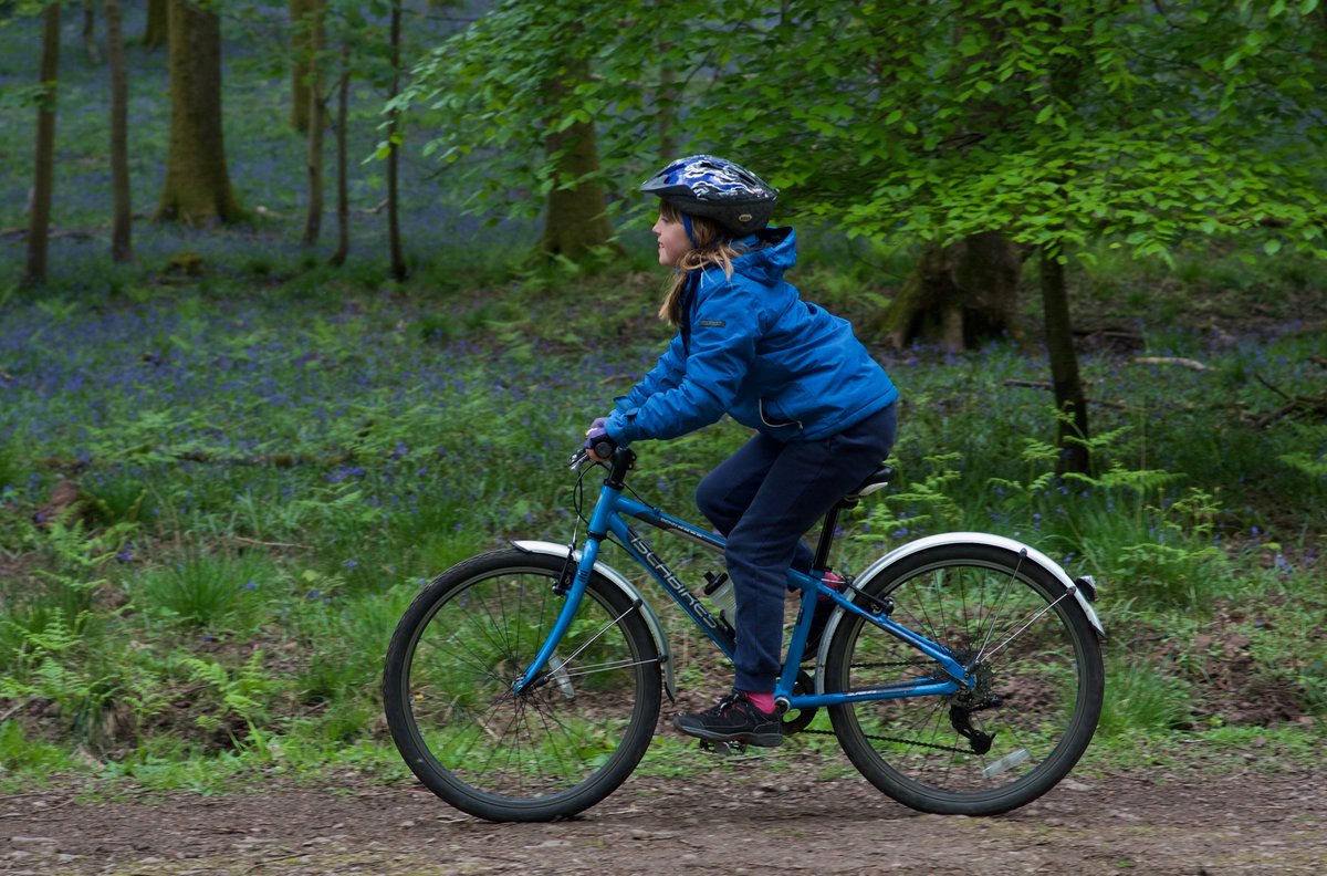 On our #ForestofDean Blakeney #bluebells ride today - you've not missed the best yet, the flowers are likely to peak in the next few days! See our #cycling guide for route #deanwye