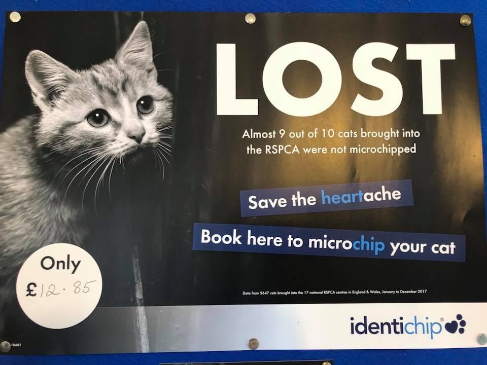 #Microchipping is not just for dogs! Why don't chip your cat to help protect them should they become lost.