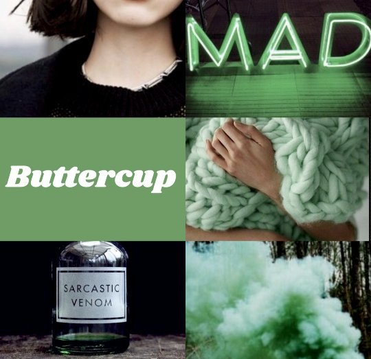 ❝ 'Be non-violent or angry, peace lies within'... What a stupid fortune, it wasn't even funny! ❞

▪ Teen! Buttercup.
▪ Mirror detail, literate.
▪ Crack/Serious/Dark RP.
▪ Crossover friendly.

In search of Blossom and Bubbles!