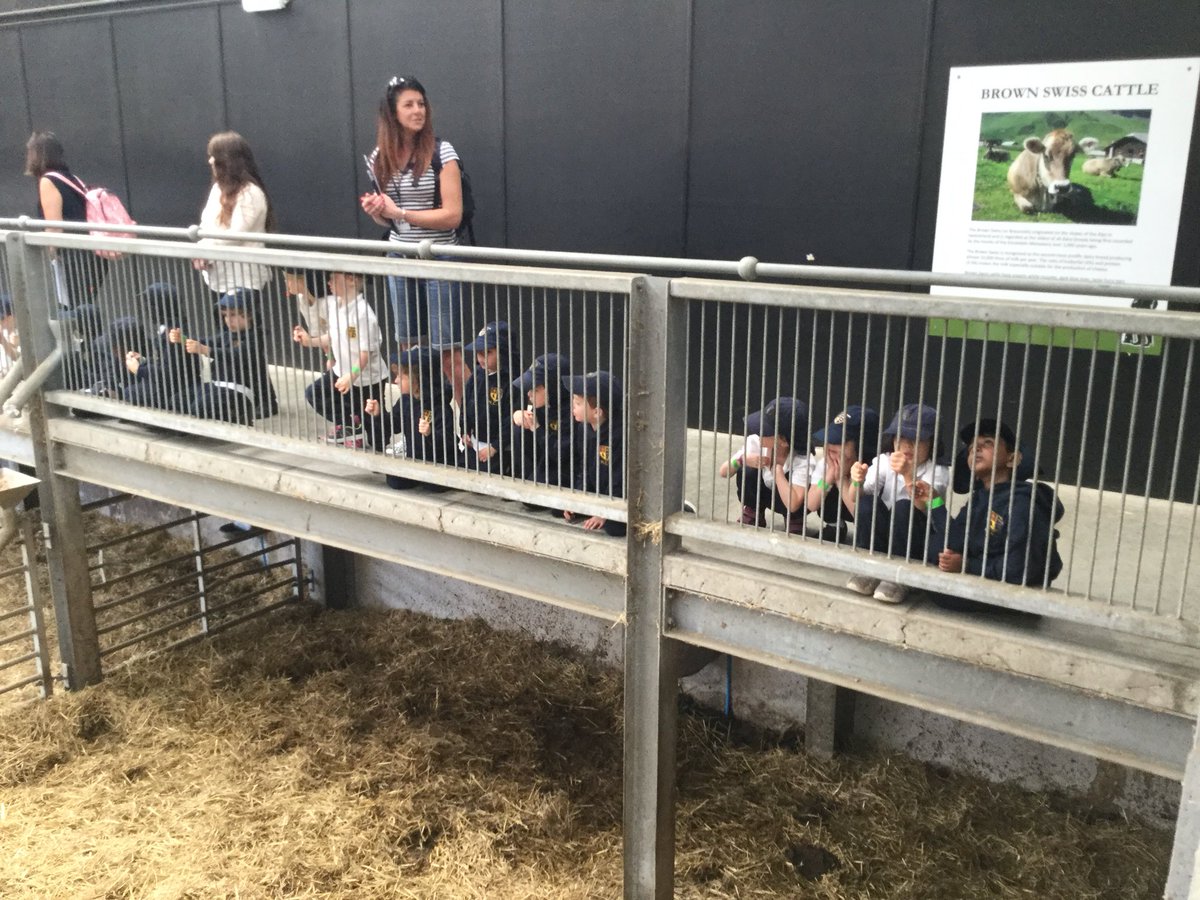 TranbyYear1's tweet photo. #DearFarm we got to see and feed many animals. https://t.co/0pUIivZzEi