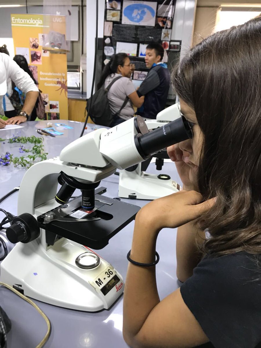 uvggt's tweet photo. Maker-Experience at Universidad del Valle de Guatemala. Joining youngsters with university students to study science and engineering #poweredbyasha @USAIDGuate @USAIDASHA1 https://t.co/XAgsuCKU4o