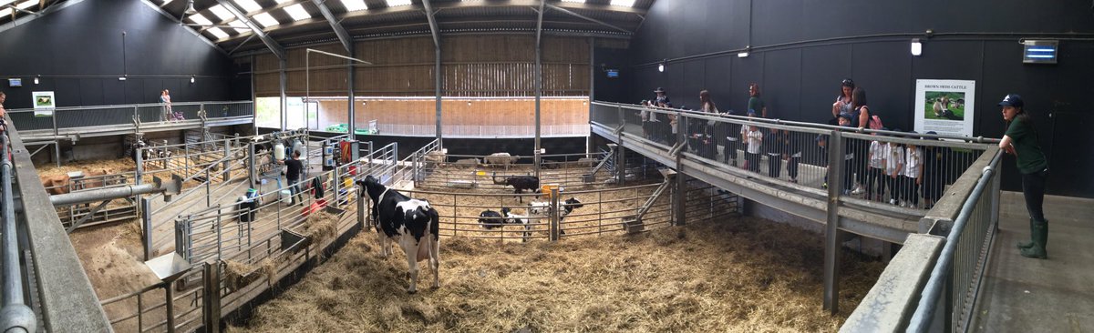 TranbyYear1's tweet photo. #DearFarm we had a great day out at Cannon Hall Farm. https://t.co/eLY7p66I4N