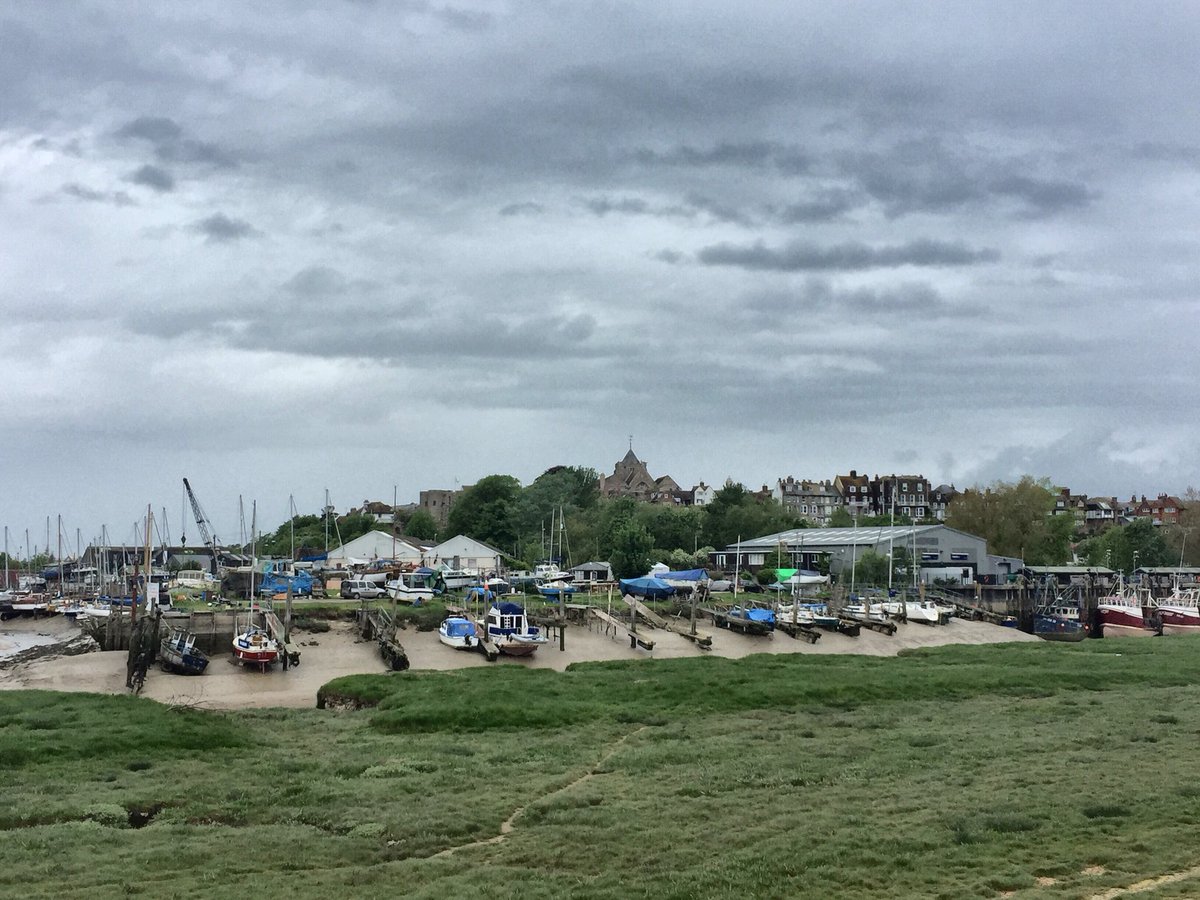 Rye Photos tweet media